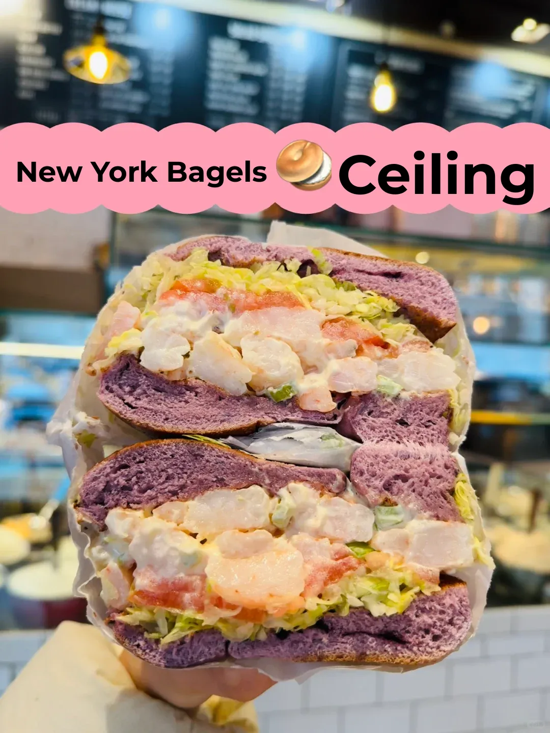 7 Years in NYC | I Call It the Best Bagel in New York 🥯