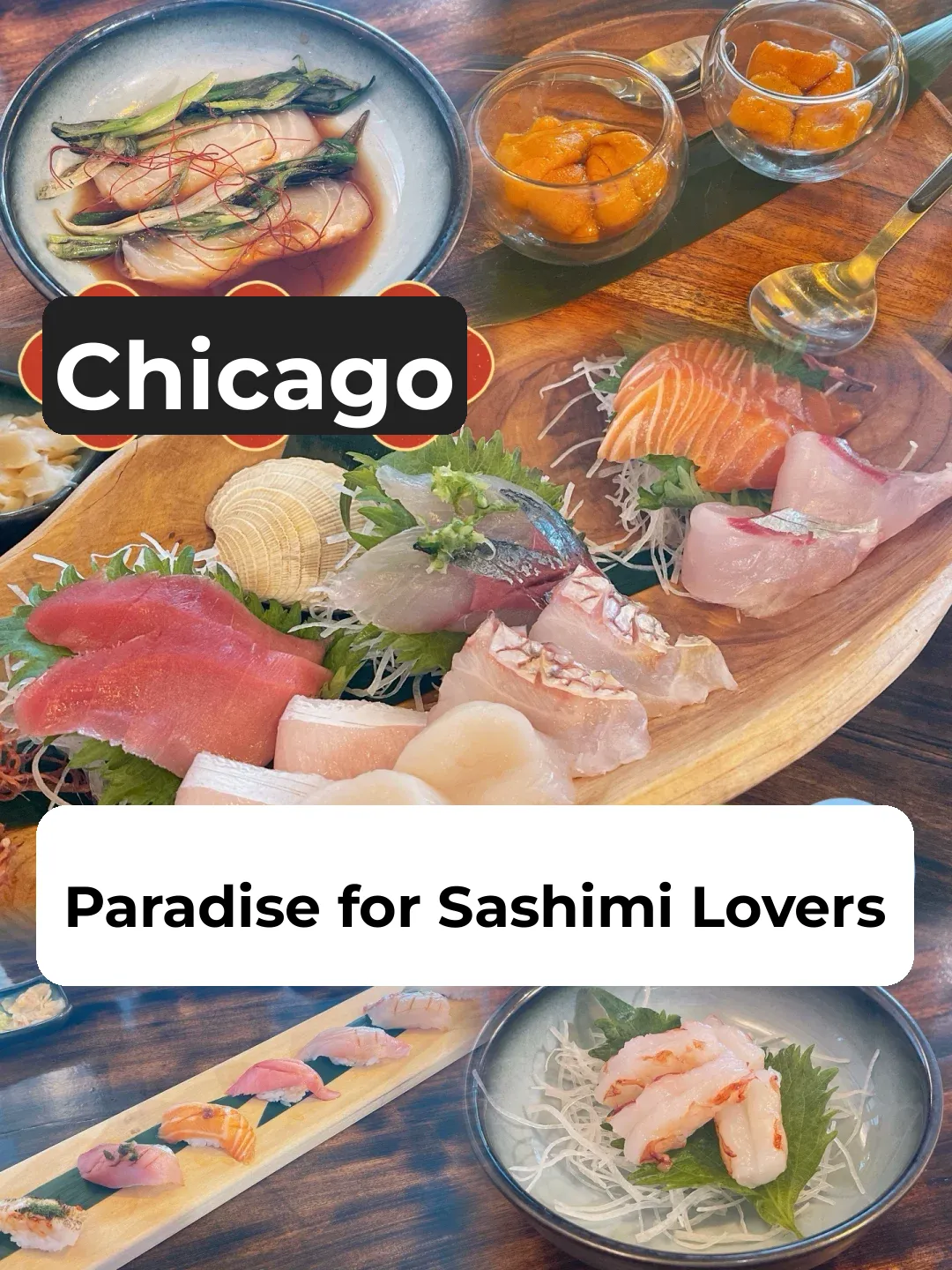 Chicago | I’ve Discovered Another Amazing Japanese Restaurant! 🍣✨