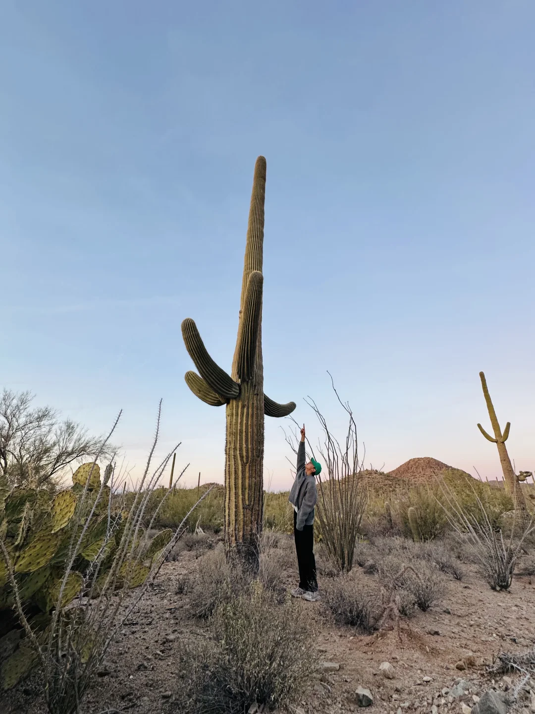 🇺🇸 Arizona Road Trip Day 1️⃣