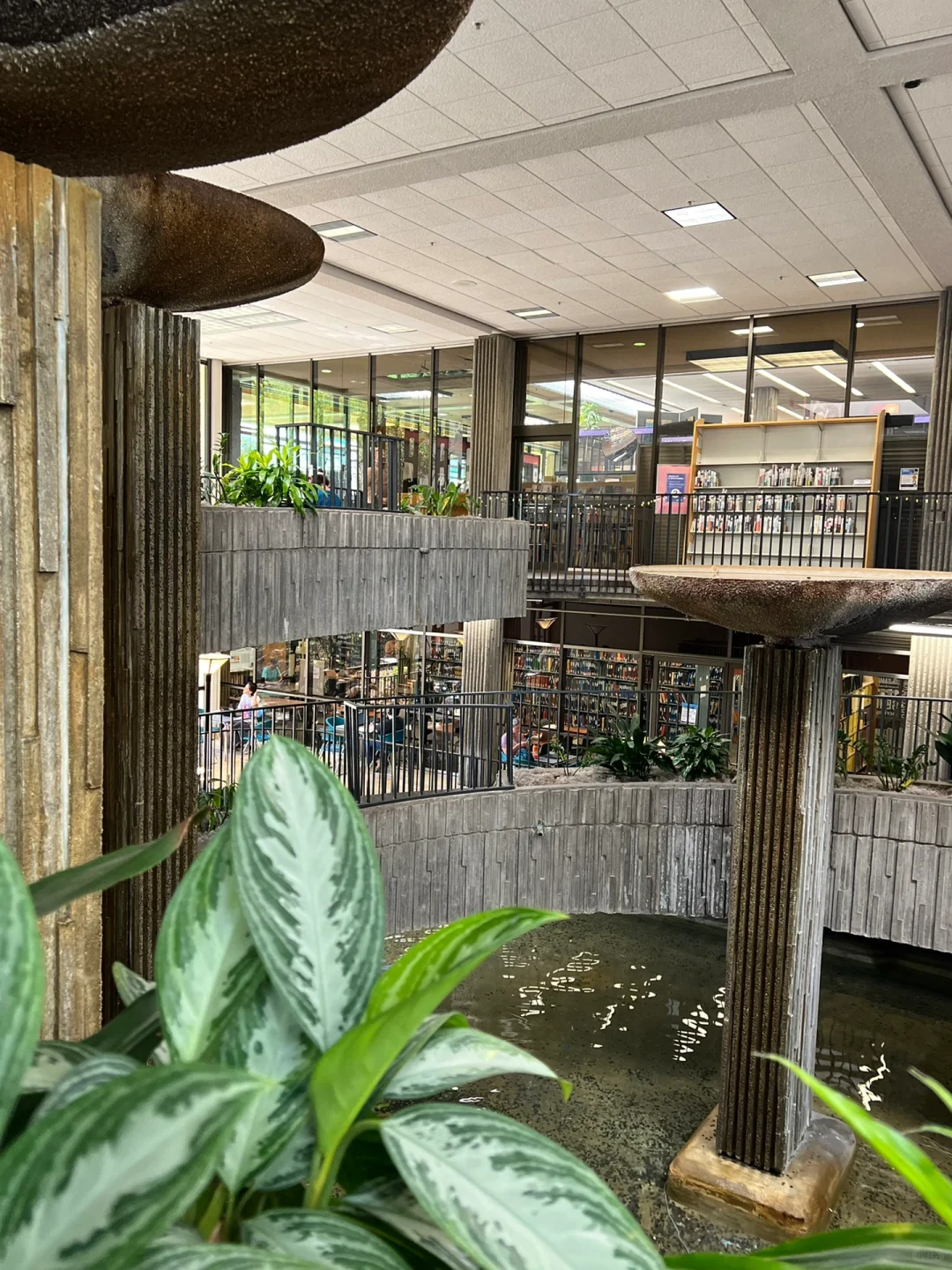 Orange County Kid-Friendly Spot: A Whimsical Library Adventure 📚🌿