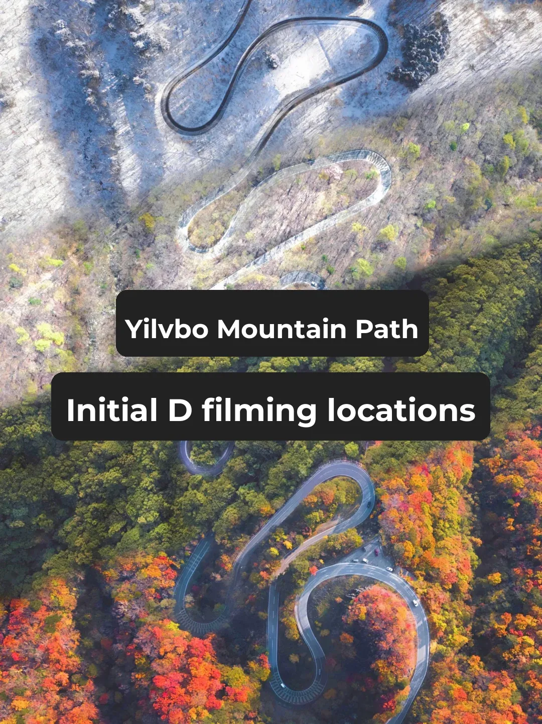 Tokyo's Best Fall Foliage Spots | Nikko Irohazaka Road "Initial D"