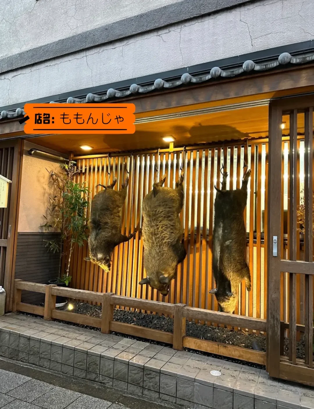 Wild Game Delights in Tokyo!