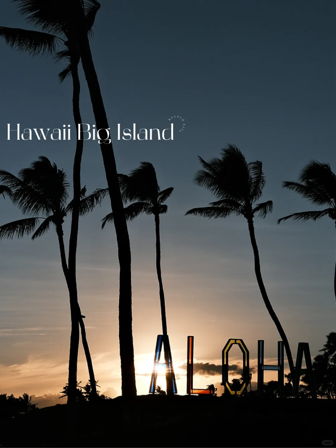 Hawaii's Big Island | Local Eateries Loved by Residents (Part 2)