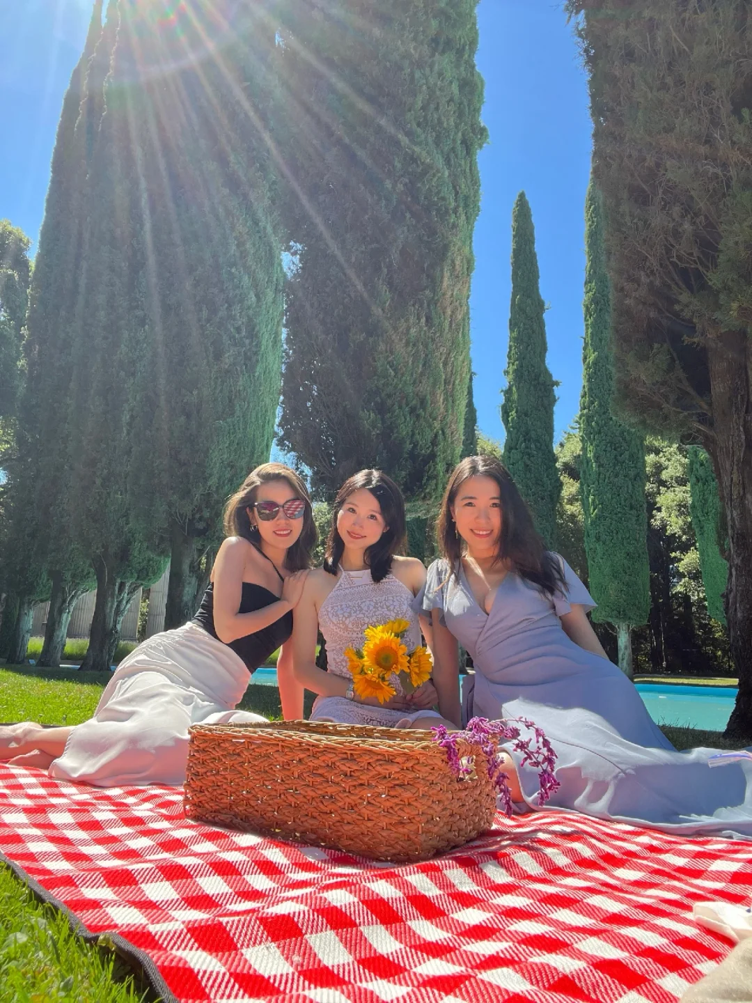 Bay Area Adventures | Top Spots for Picnicking Outdoors 🧺