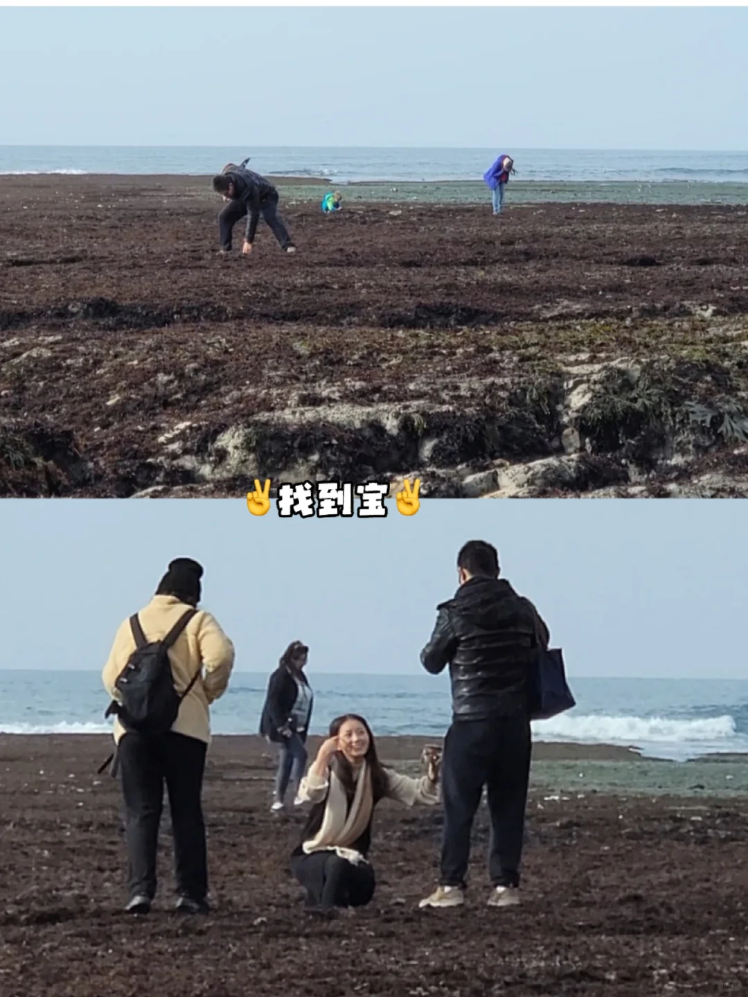 California's Hidden Gem: Half Moon Bay | A Tale of Enchanted Forests and Azure Seas