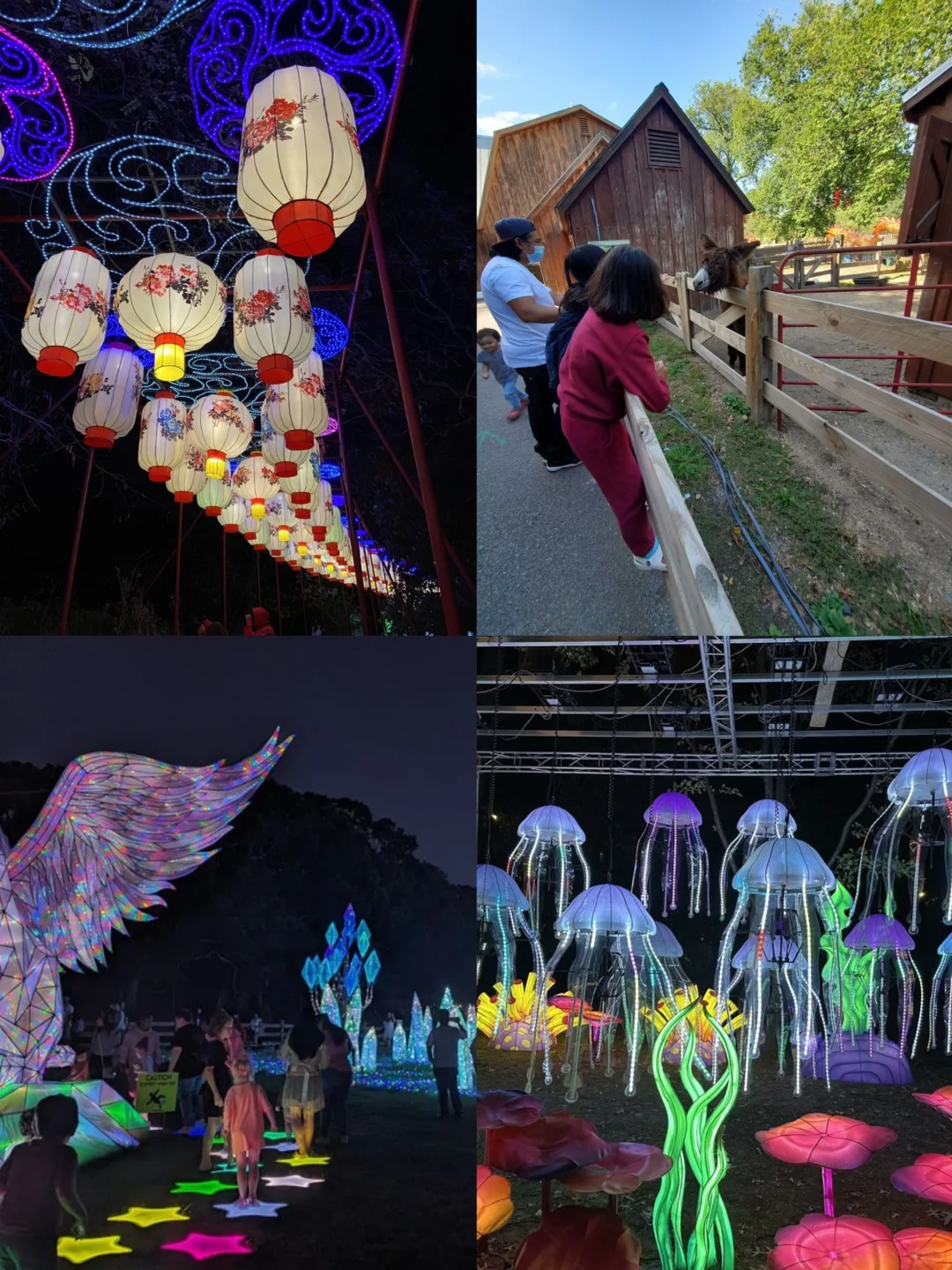 Boston Area Kid-Friendly Zoo Guide 🍼 7 Top Zoos to Explore with Your Little Ones 🦁