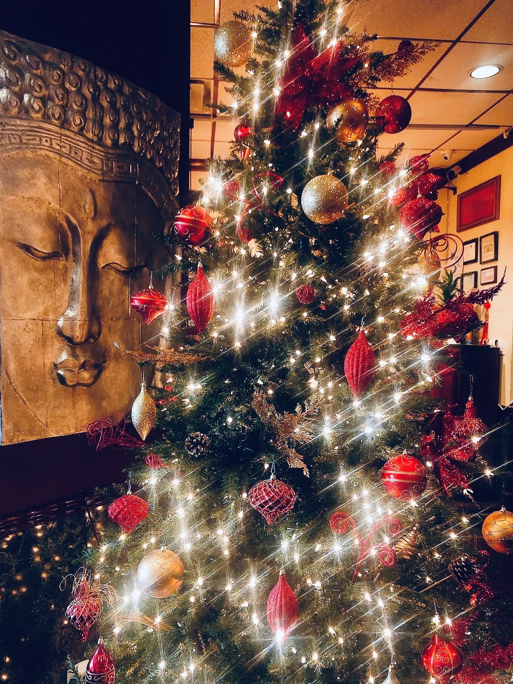 Austin Local Foodie Adventure - Chinese Restaurant: Chinatown