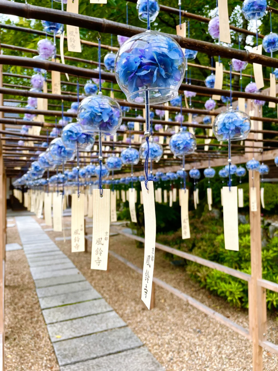 Join Me in Japan | Hydrangea Wind Chimes 🎐 Absolutely Stunning!