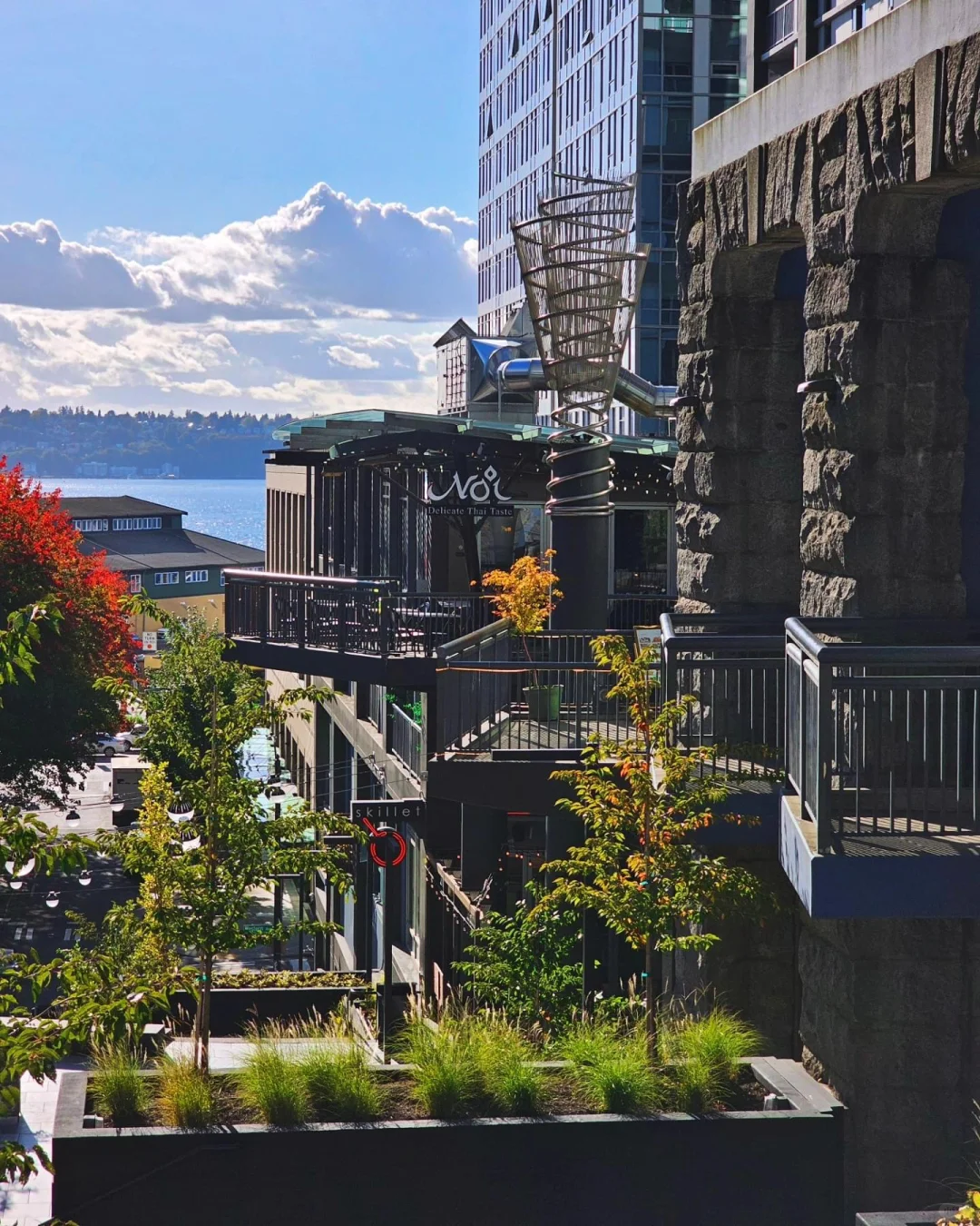 🇺🇸 Seattle｜Mountain and Forest Scenery ⛰️