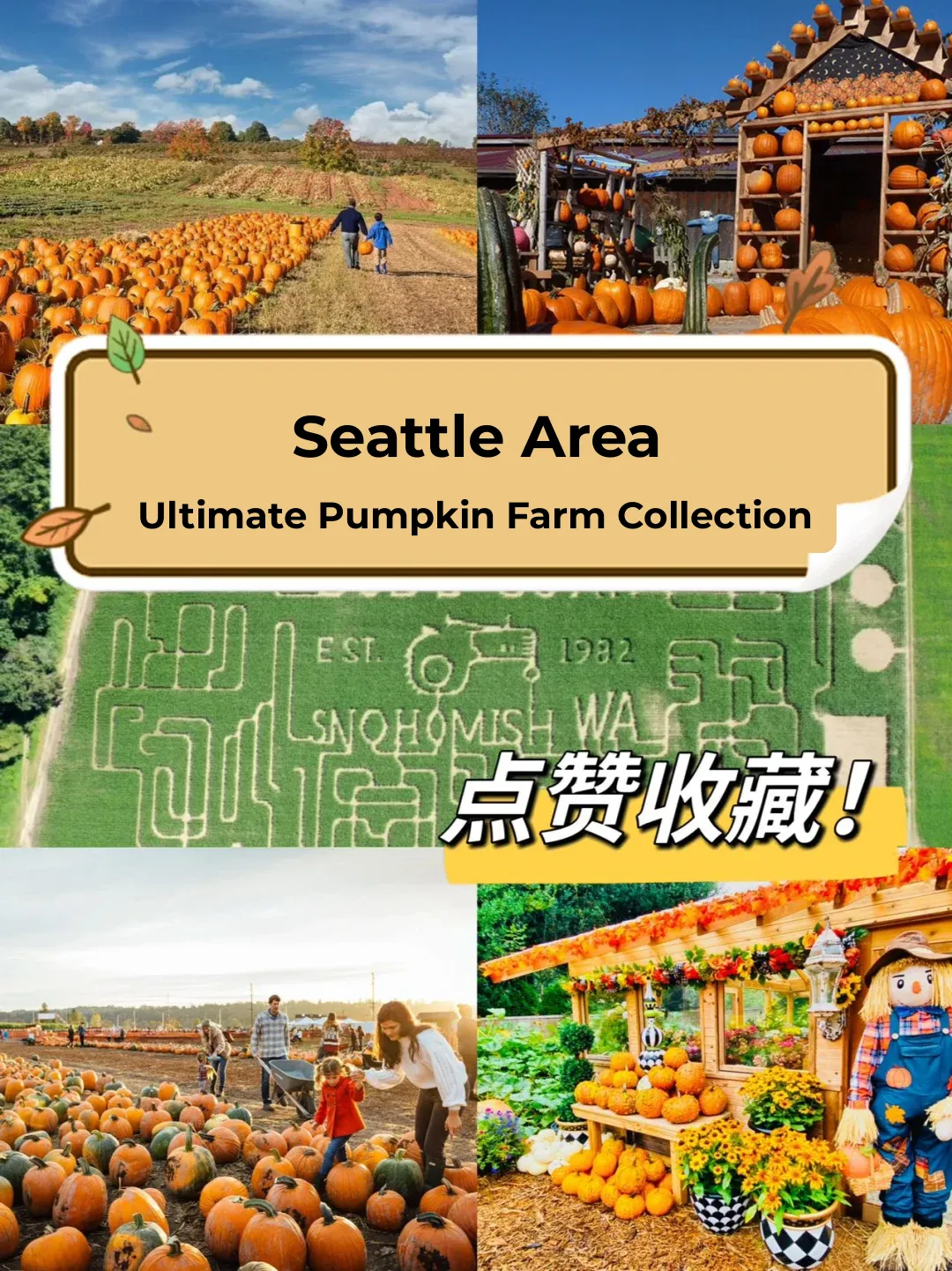 This Might Be the Ultimate Guide to Pumpkin Patches in Seattle?