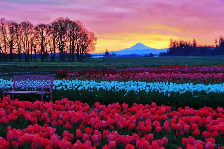 Where to Travel for Spring Break: U.S. Edition Part 1 – Oregon