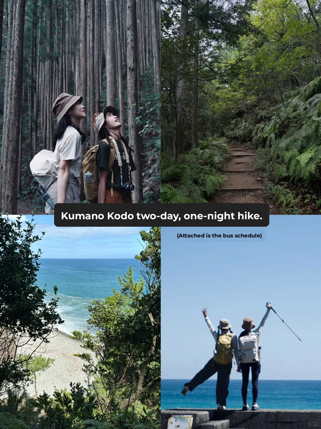 2-Day, 1-Night Kumano Kodo Trail: No-Sweat Itinerary (with Bus Schedules)