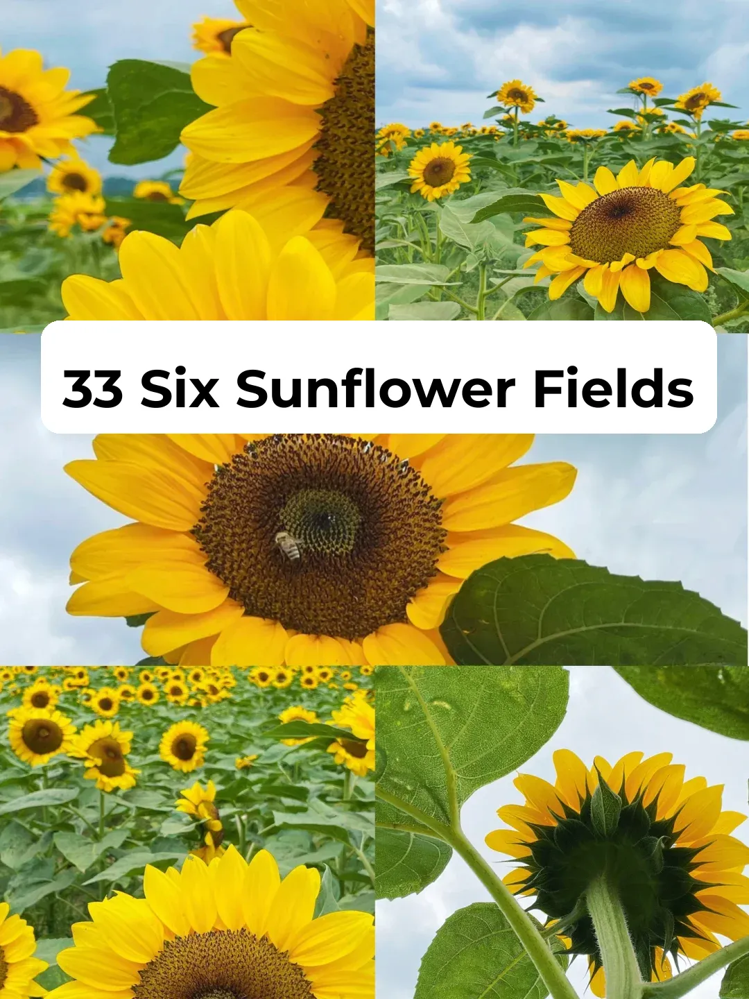 Hidden Gems‼️ 11 Lesser-Known Tokyo Travel Spots for June-August (Part 1)