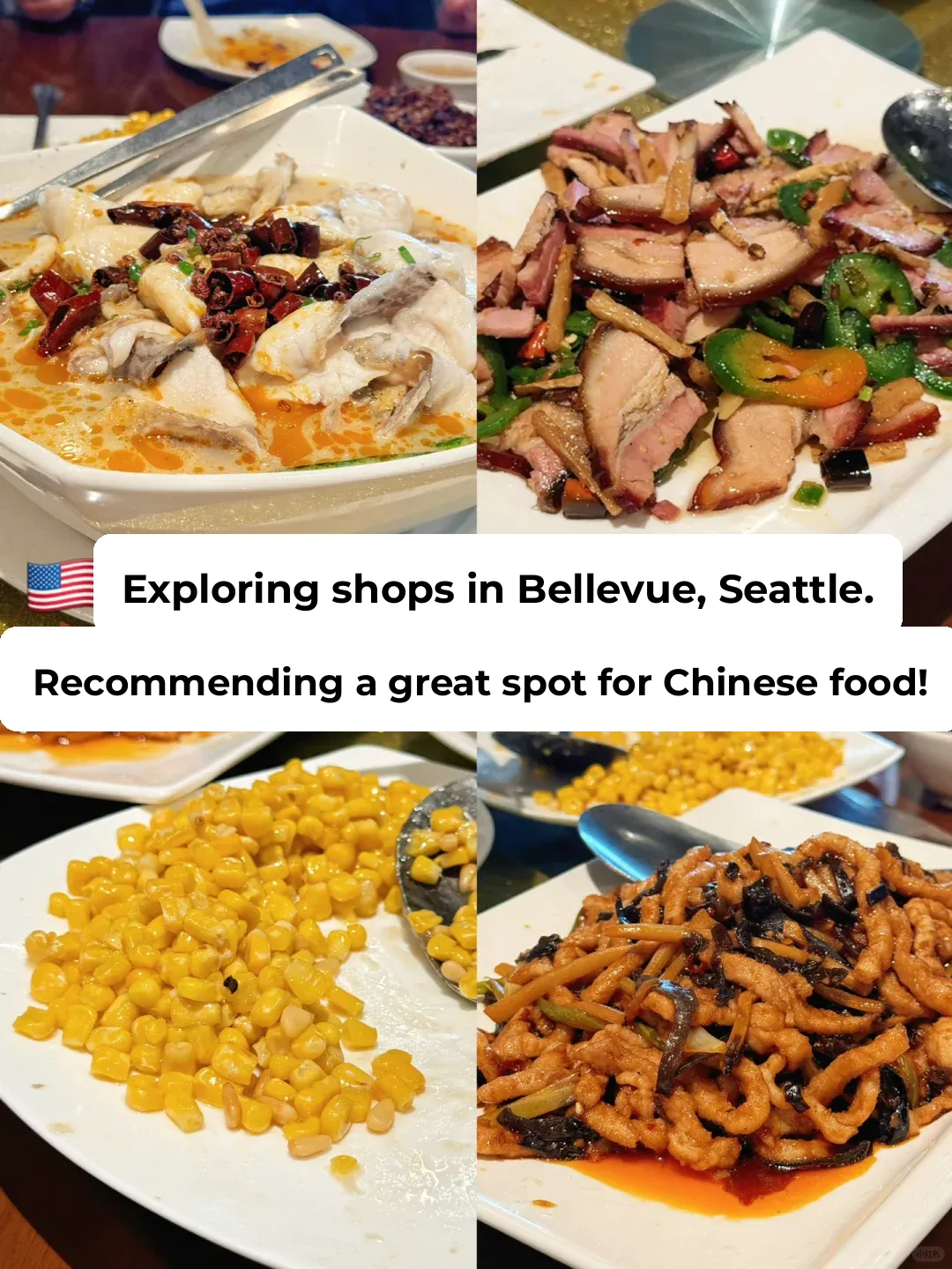 Vancouverites Rave About Bellevue's Chinese Food‼️ Risking Life and Limb for It‼️
