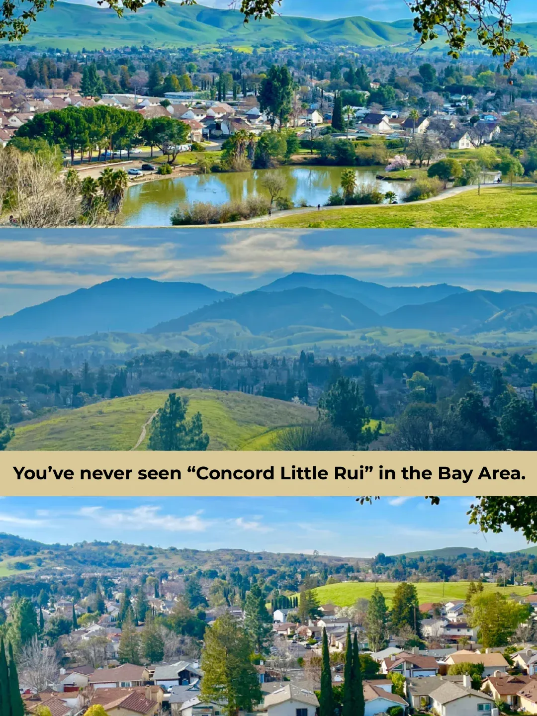 Bay Area "Little Switzerland" Masterpiece 💙 A Hidden Gem with Scenic Landscapes and Charming Villages