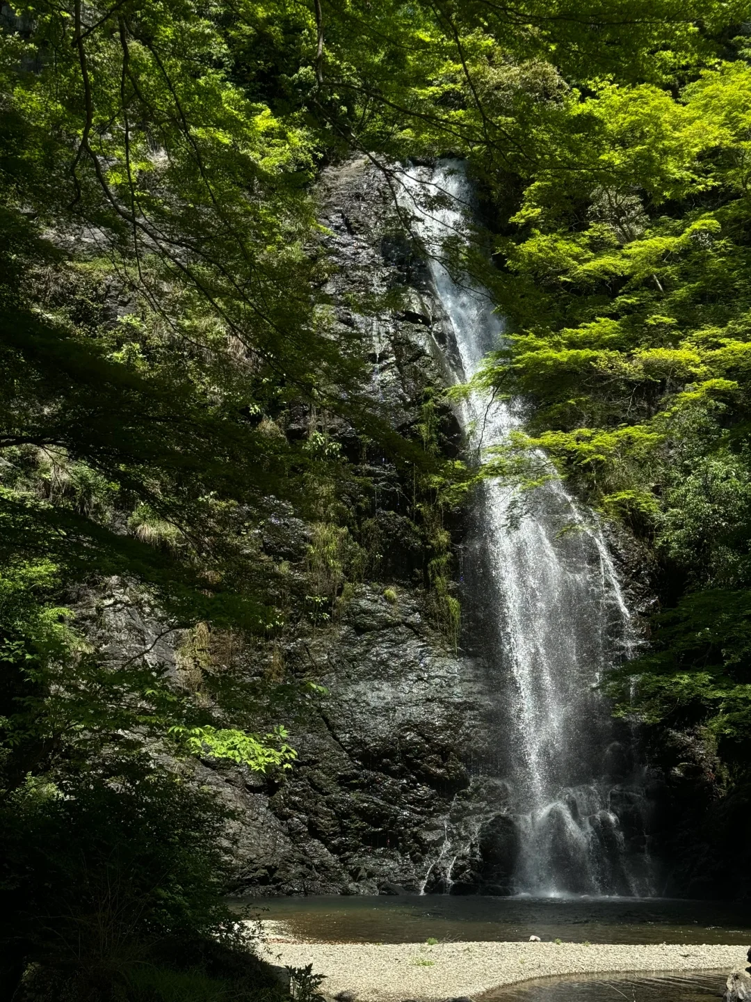 Explored Osaka's Kimochi Trail and the Tokai Nature Walk during Golden Week