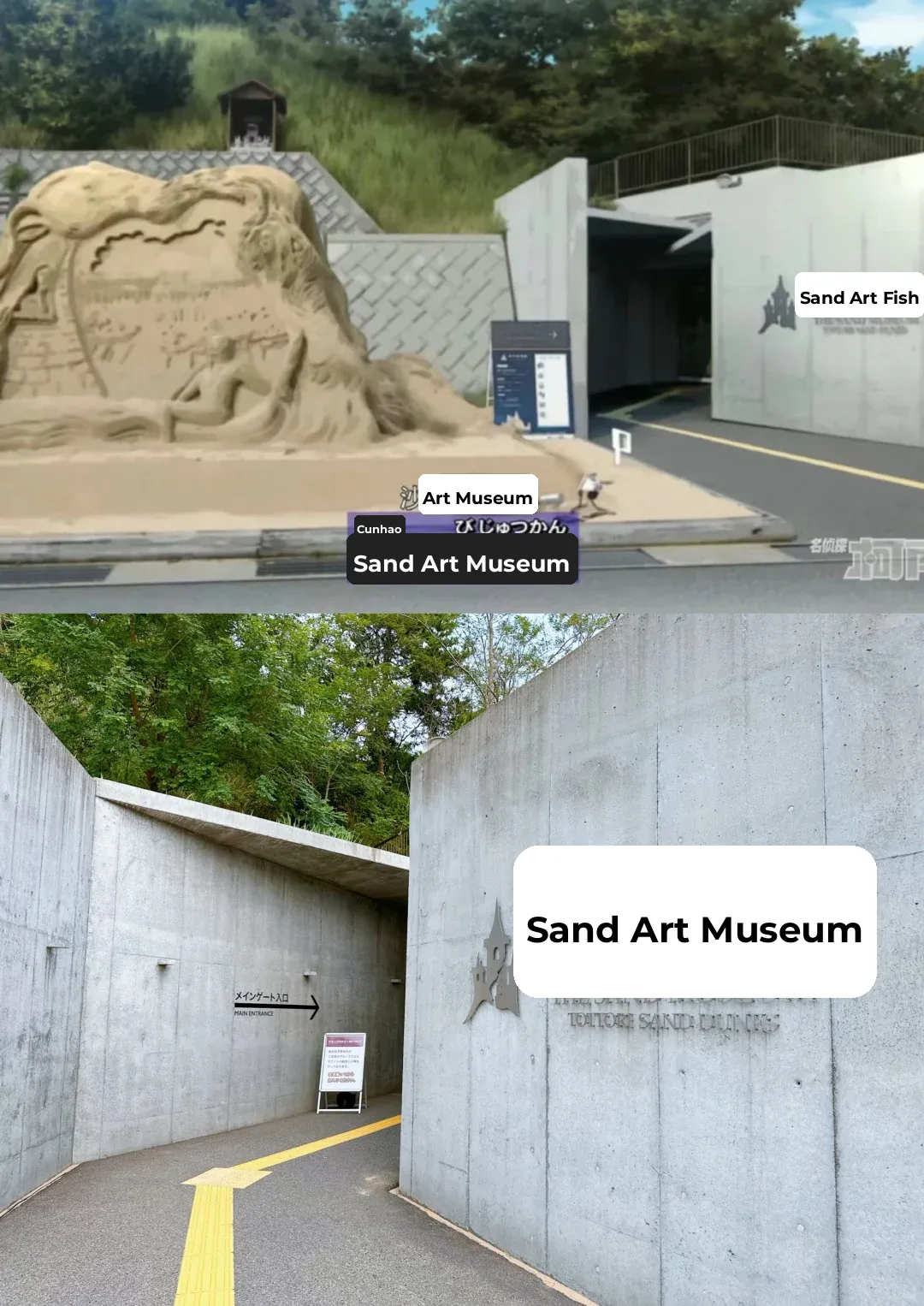 Day Trip to Tottori from Osaka 📍 Half Sand Dunes, Half Ocean!