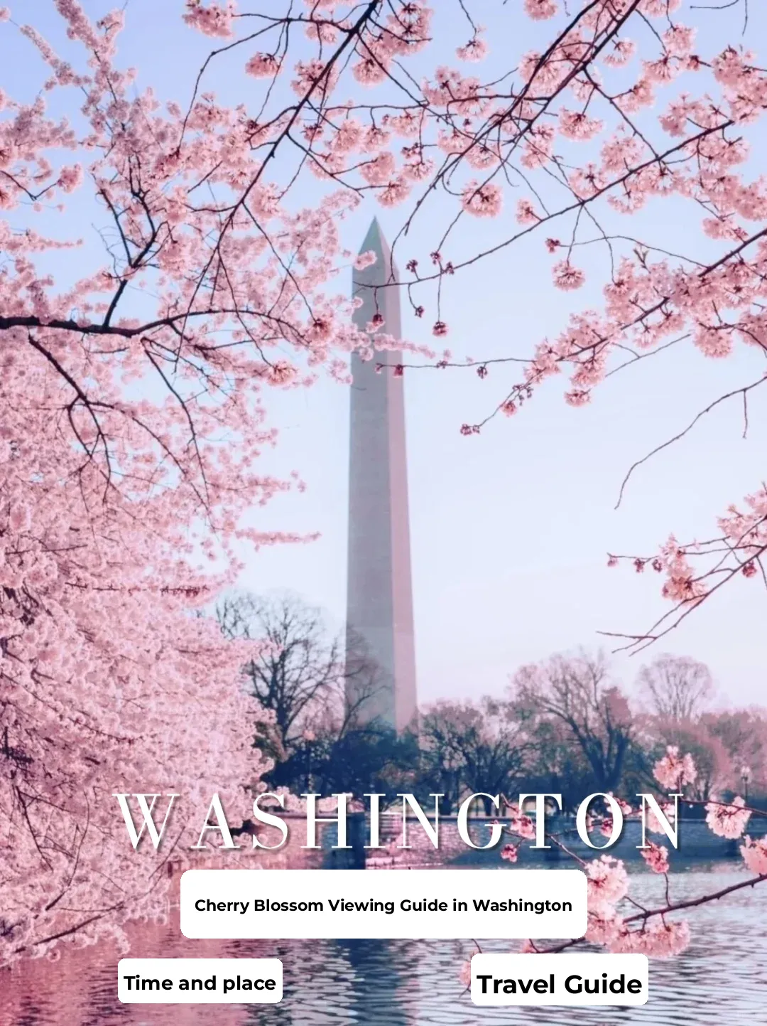 Must-Visit Spots for Washington's Cherry Blossom Season❗️ Ultimate Guide to Flower Viewing + Cherry Blossom Festival
