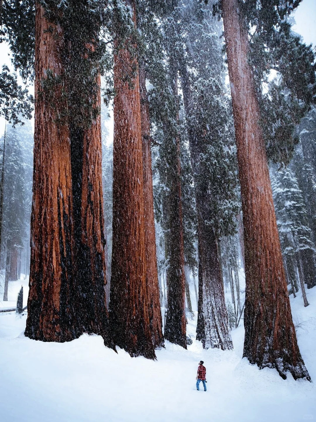 Life Advice 🥰 Must-Visit Hidden Gems in San Francisco During Winter