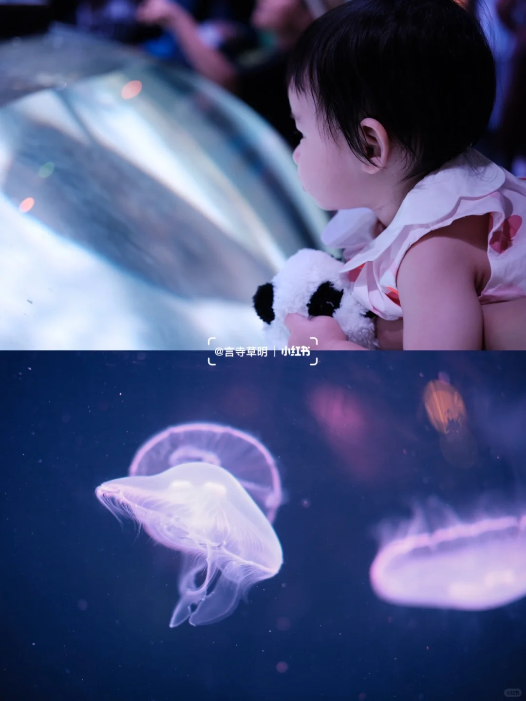 Top Spot for Family Outings | American Dream Must-Visit