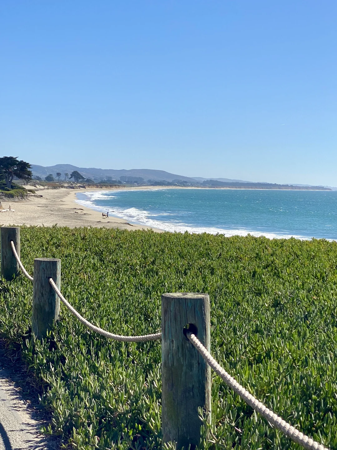🌟Highway 1 in San Francisco, California🌟