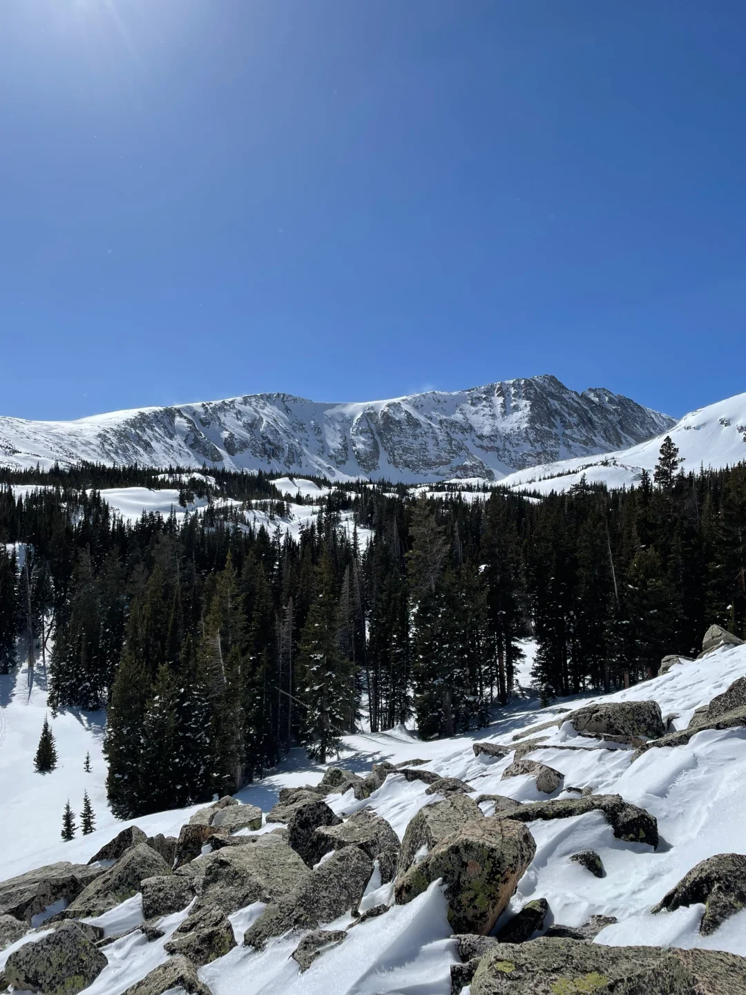Ranking the Best All-You-Can-Eat Hot Pot Spots in Denver