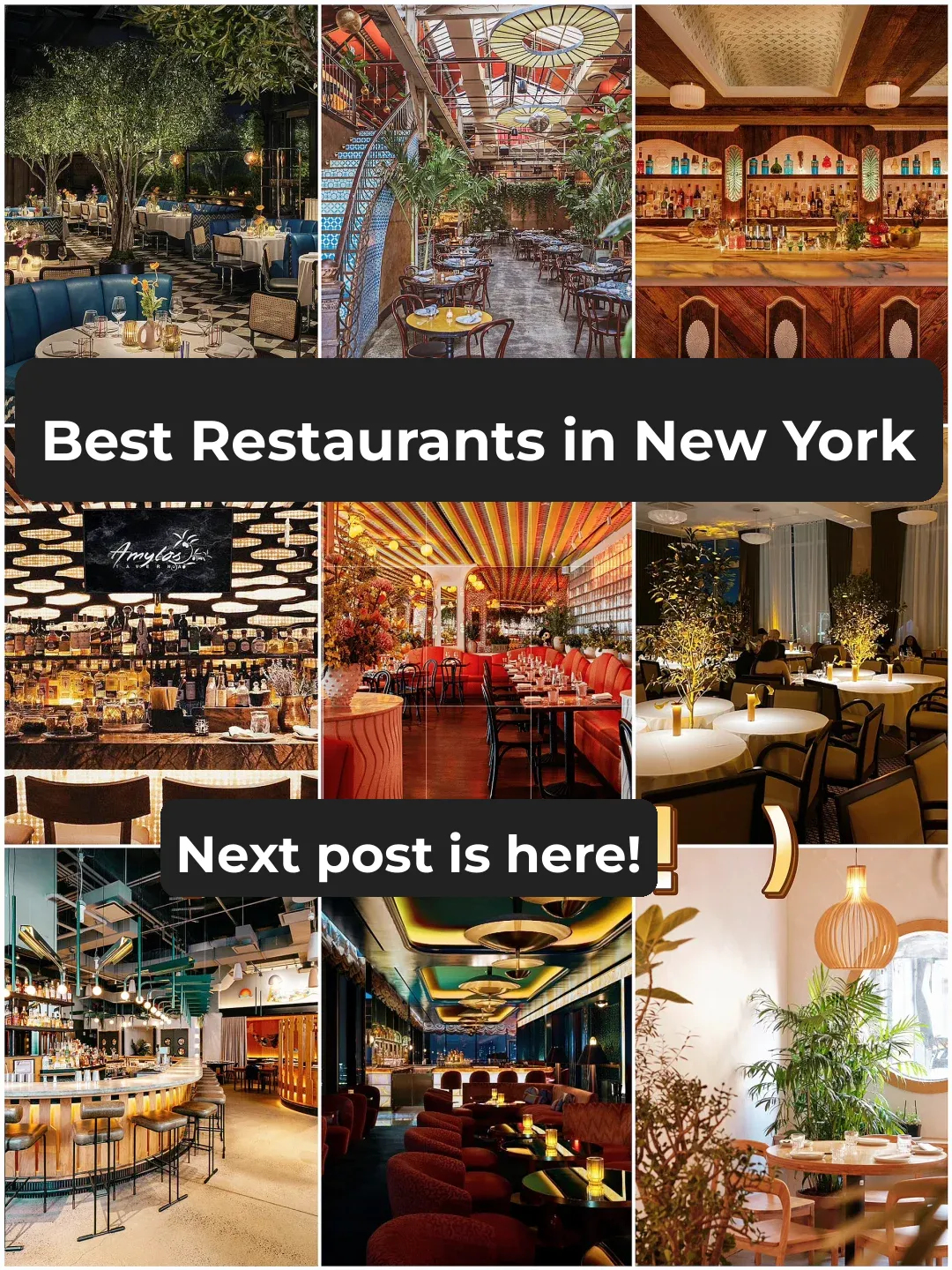 Hidden Gem Restaurants in NYC: 30 Atmosphere-Driven Eateries (Part 2)