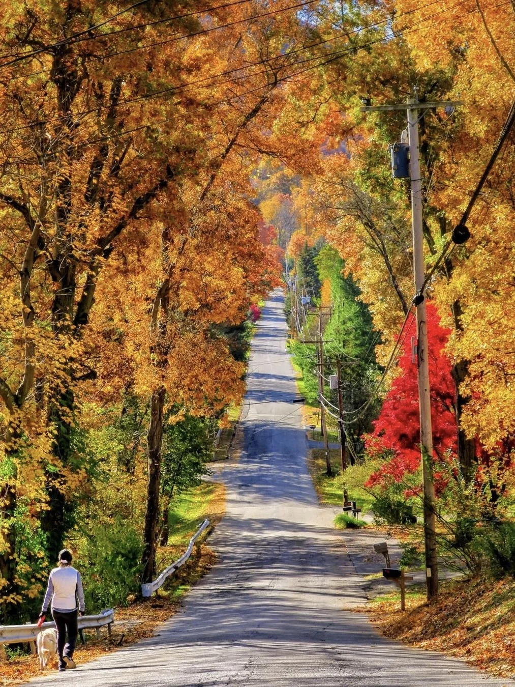 1-Hour Drive from NYC: Discover the Enchanting Fall Foliage in This Quaint Autumn Fairy Tale Town