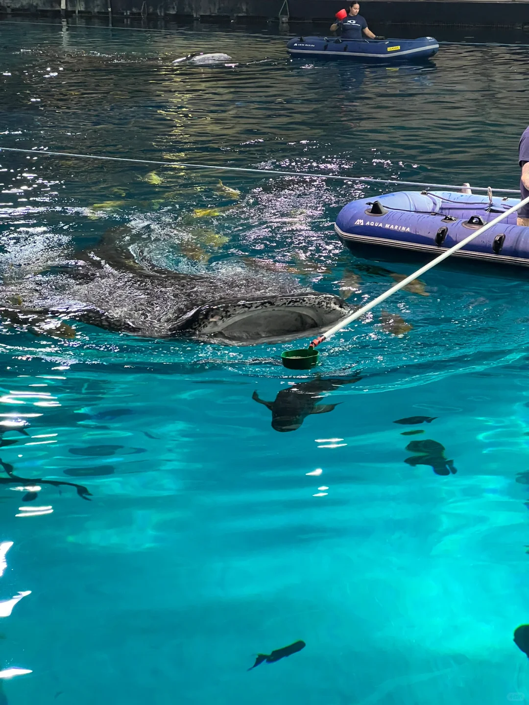 📍Atlanta Travel Guide (Hotels + Attractions)