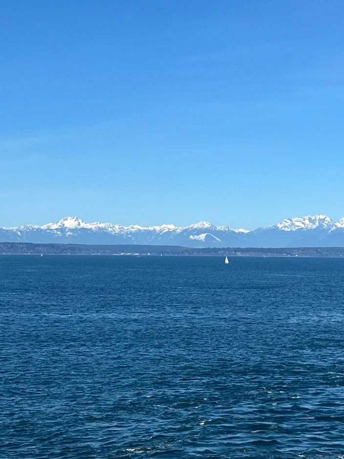 AAS 2024 | Seattle’s Weather Is So Nice We Don’t Want to Stay Indoors for Meetings