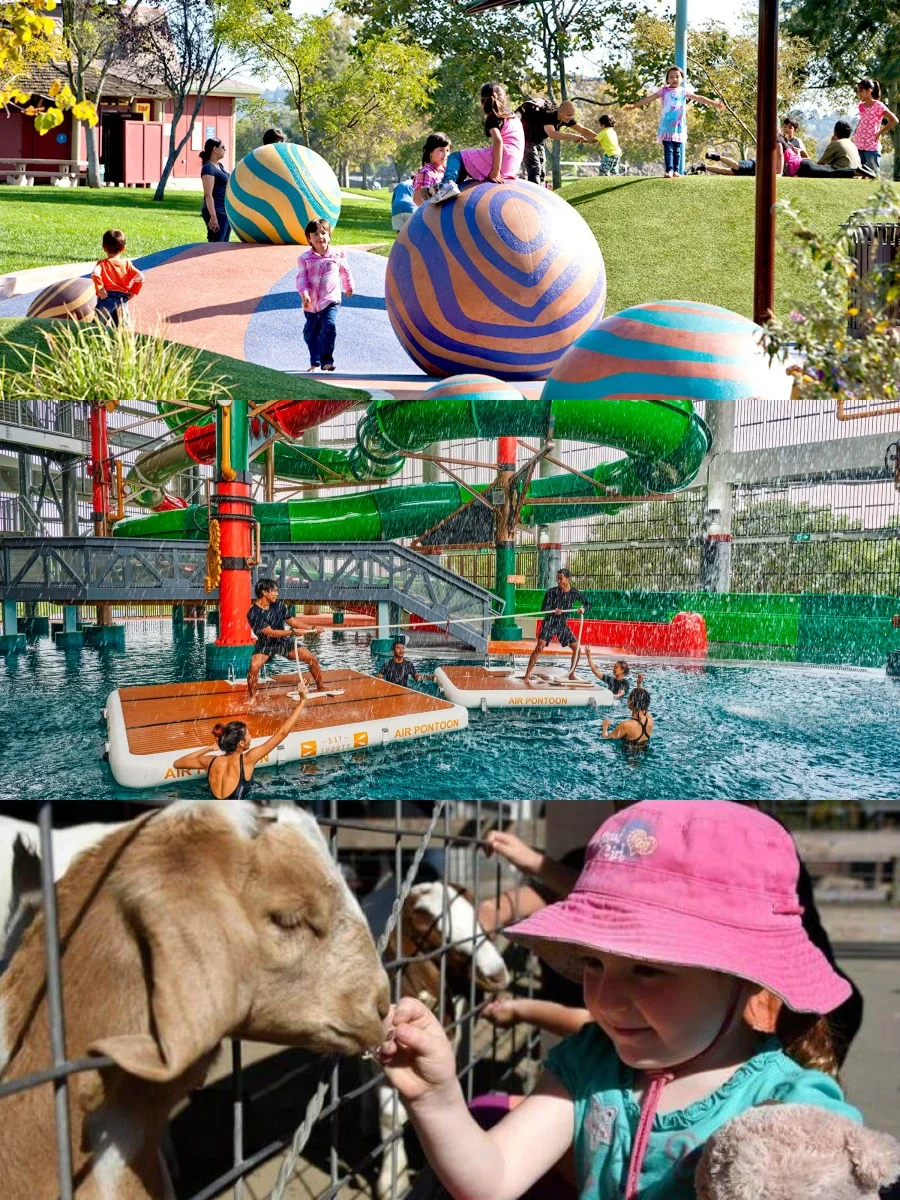 Bay Area Fremont Family Fun Guide 🍼 18 Must-Do Activities to Keep the Kids Energized