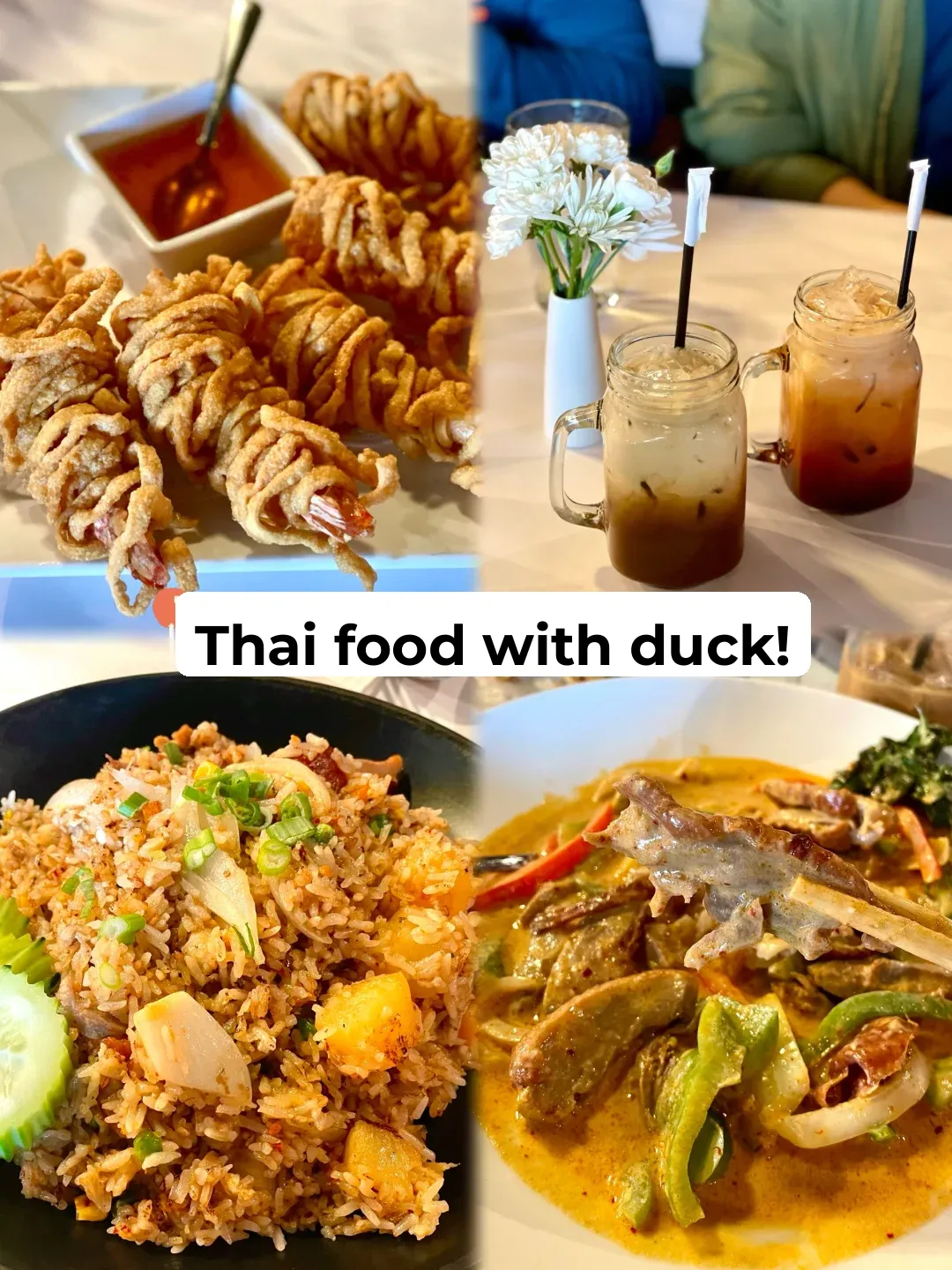 "Chicago North Suburbs Foodie Guide | Thai Cuisine 🇹🇭 Unbelievably Delicious Roast Duck!"