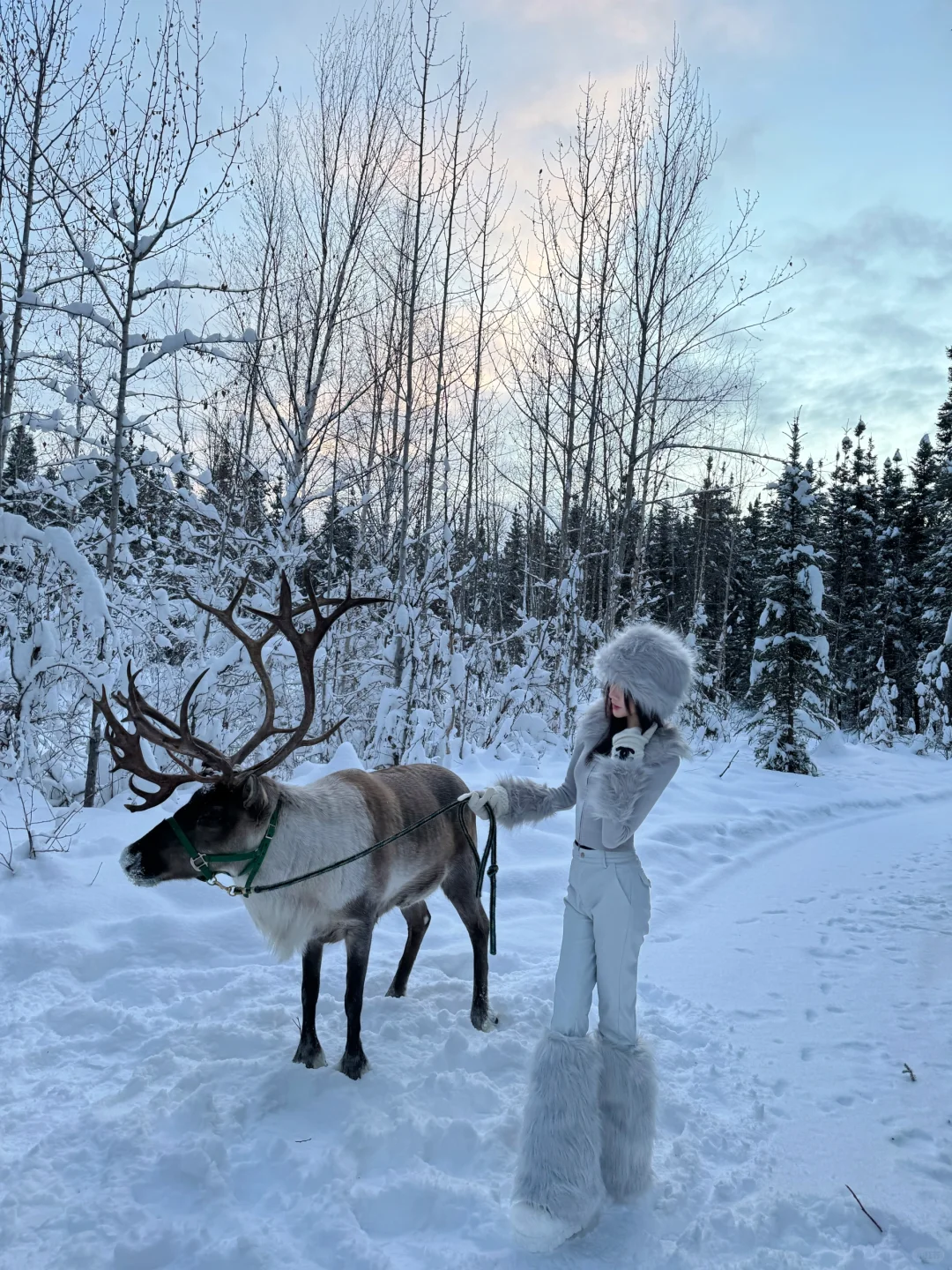 Ultimate Guide to Chasing the Northern Lights in Alaska ❄️ Must-See!!