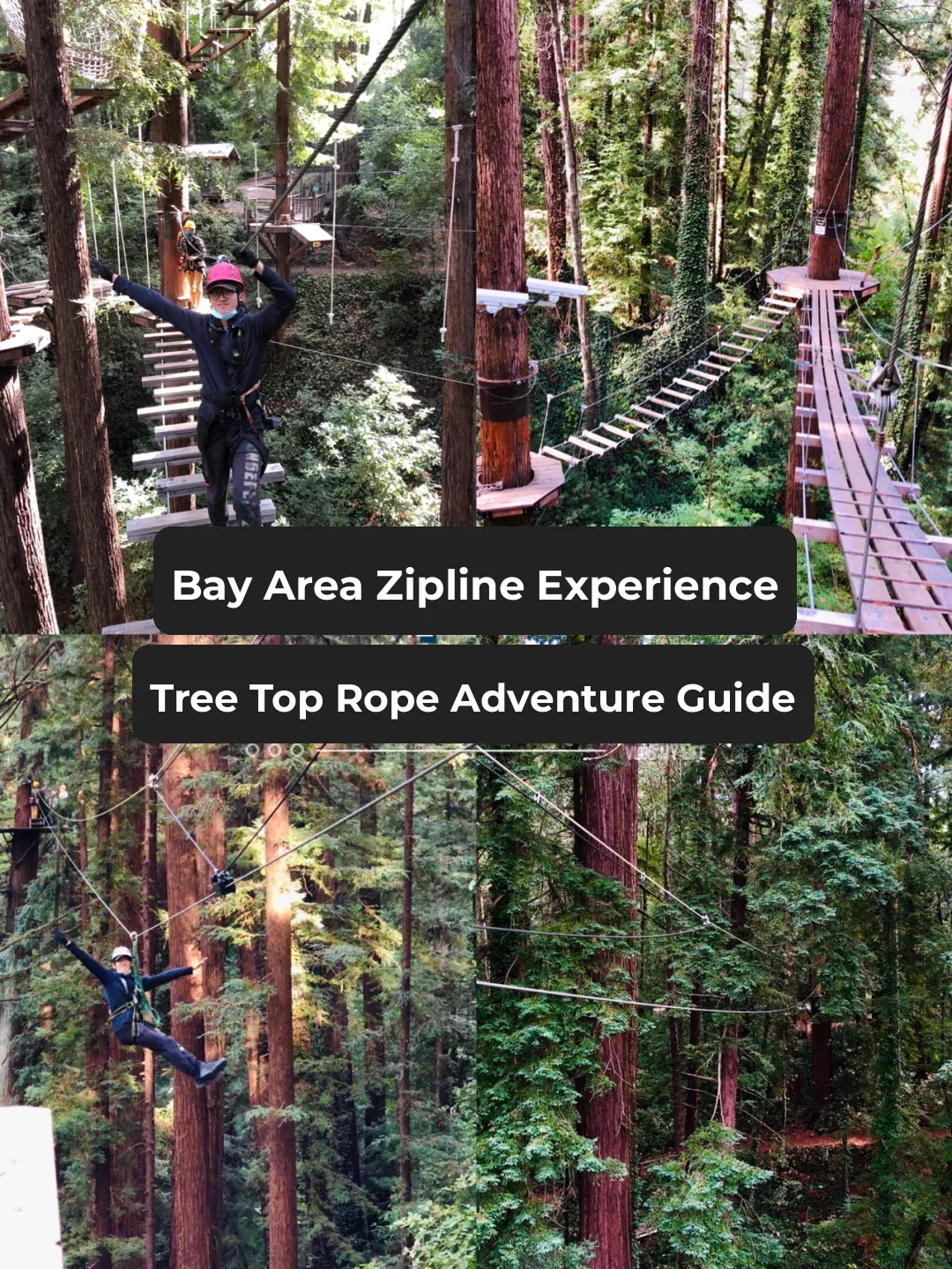 Bay Area Zipline Adventure: Off-the-Beaten-Path Outdoor Excursion