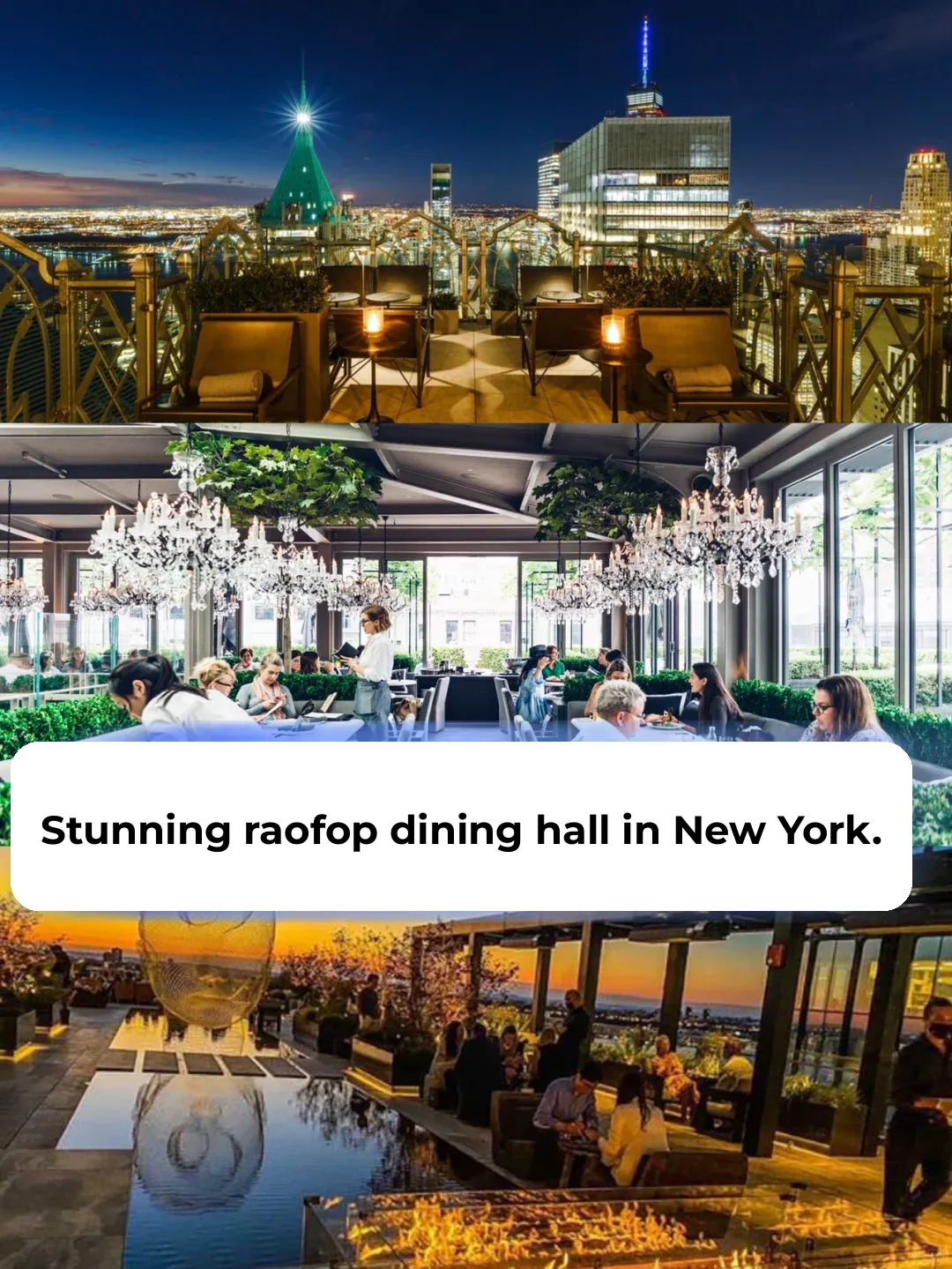 Romantic Sunset Dining 🌅 A Collection of Rooftop Restaurants in NYC