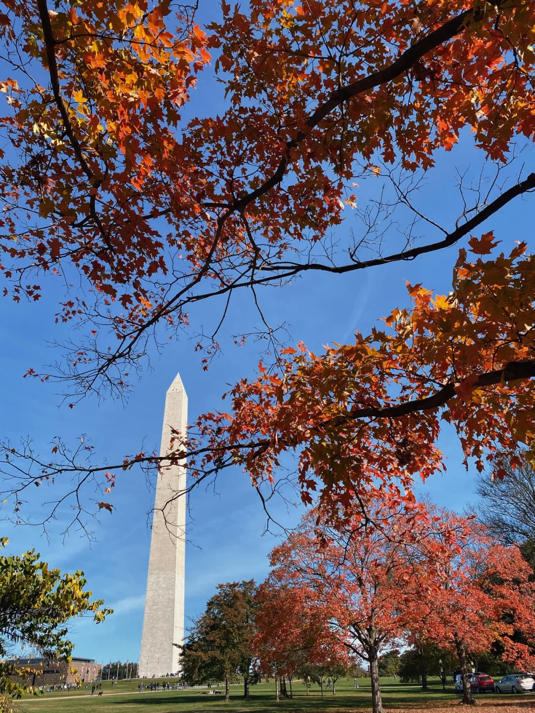 DC | Ultimate Outdoor Attractions Loop | Travel | Cycling | Hiking 🍃