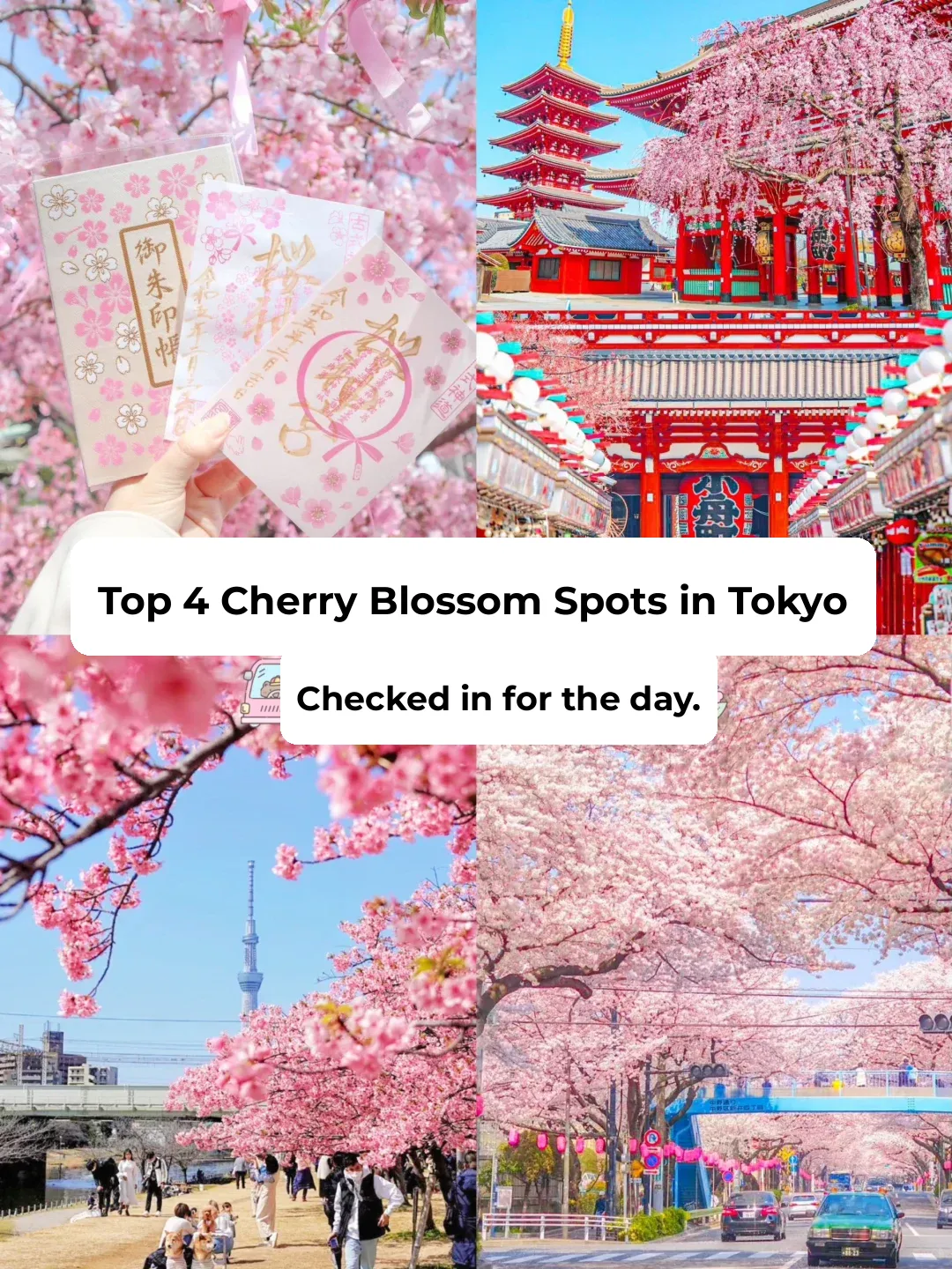4 Must-Visit Sakura Spots in Tokyo for a Perfect City Walk! Complete the Checklist in One Day