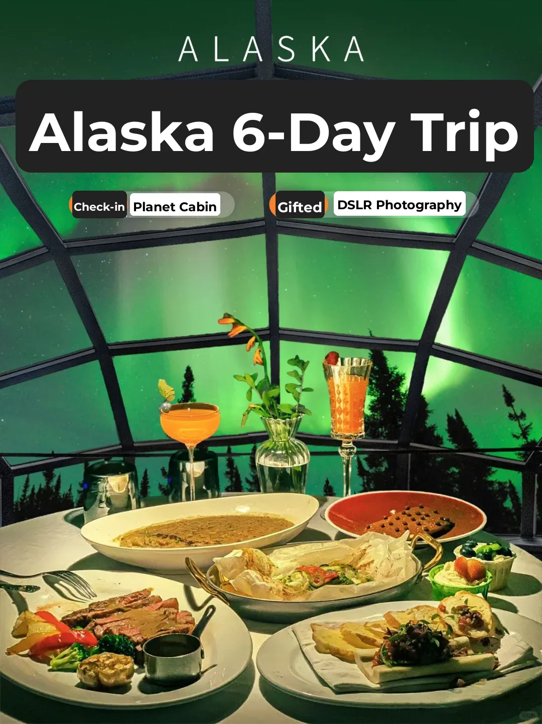 6-Day Alaska Adventure: Thanksgiving/Christmas Availability at the Stargazer Cabins