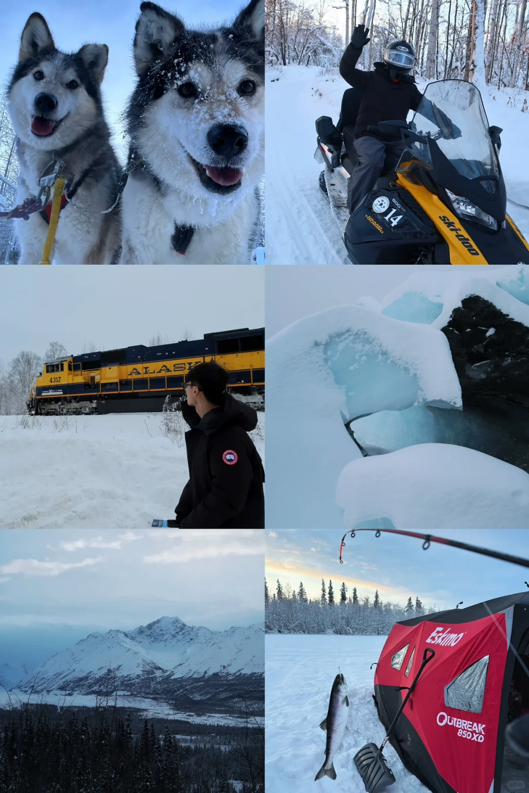 Alaska is More Than Just the Northern Lights 🚗 Road Trip Edition