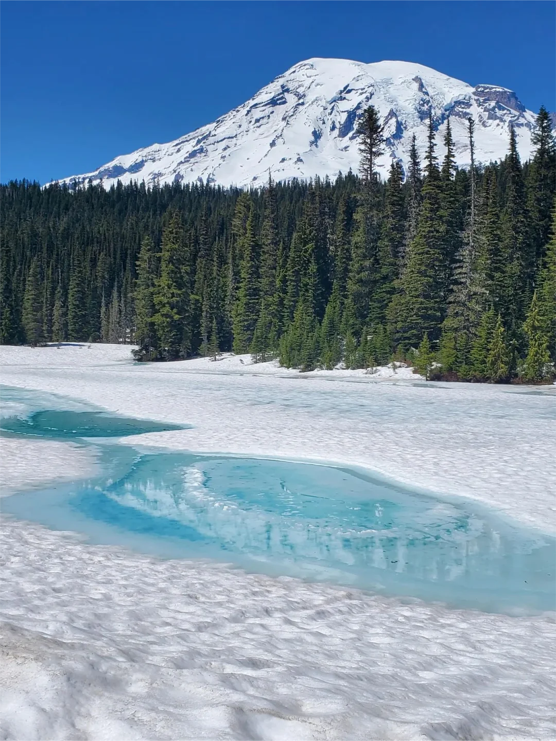 Here's what's coming up at Mount Rainier National Park 👇