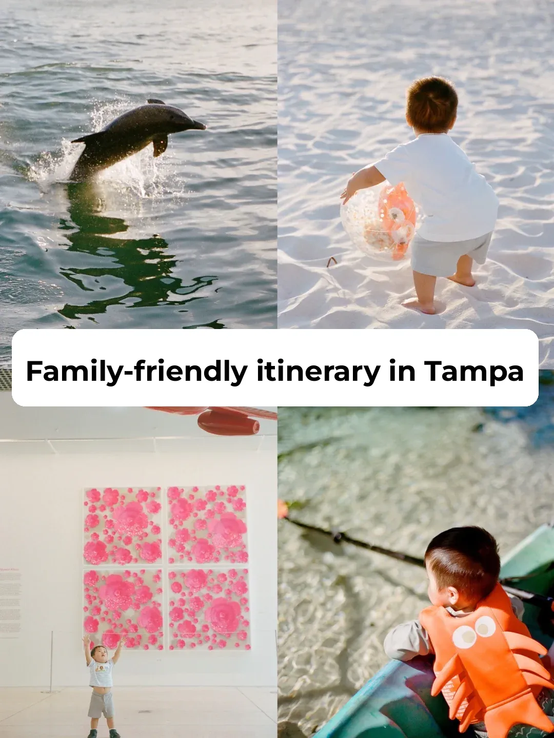 Florida: A Dream Itinerary That Pleases Both Adults and Kids ☀️