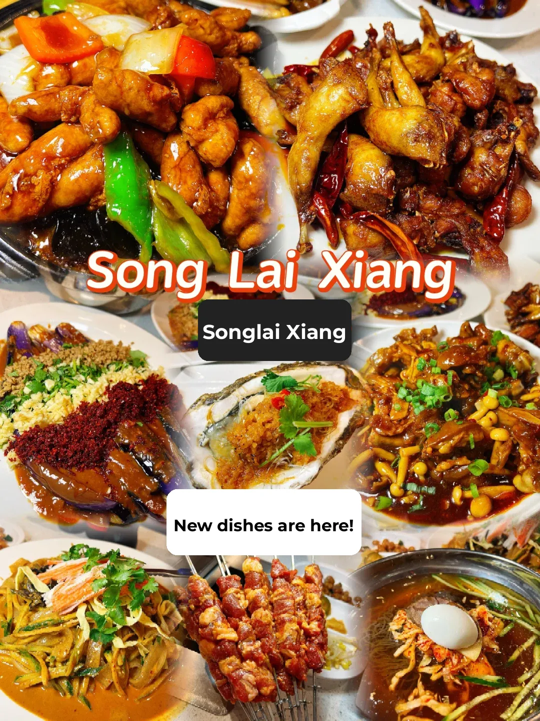New York | Flushing's Song Lai Xiang Has Rolled Out a Bunch of New Dishes, No Hesitation, Just Go!