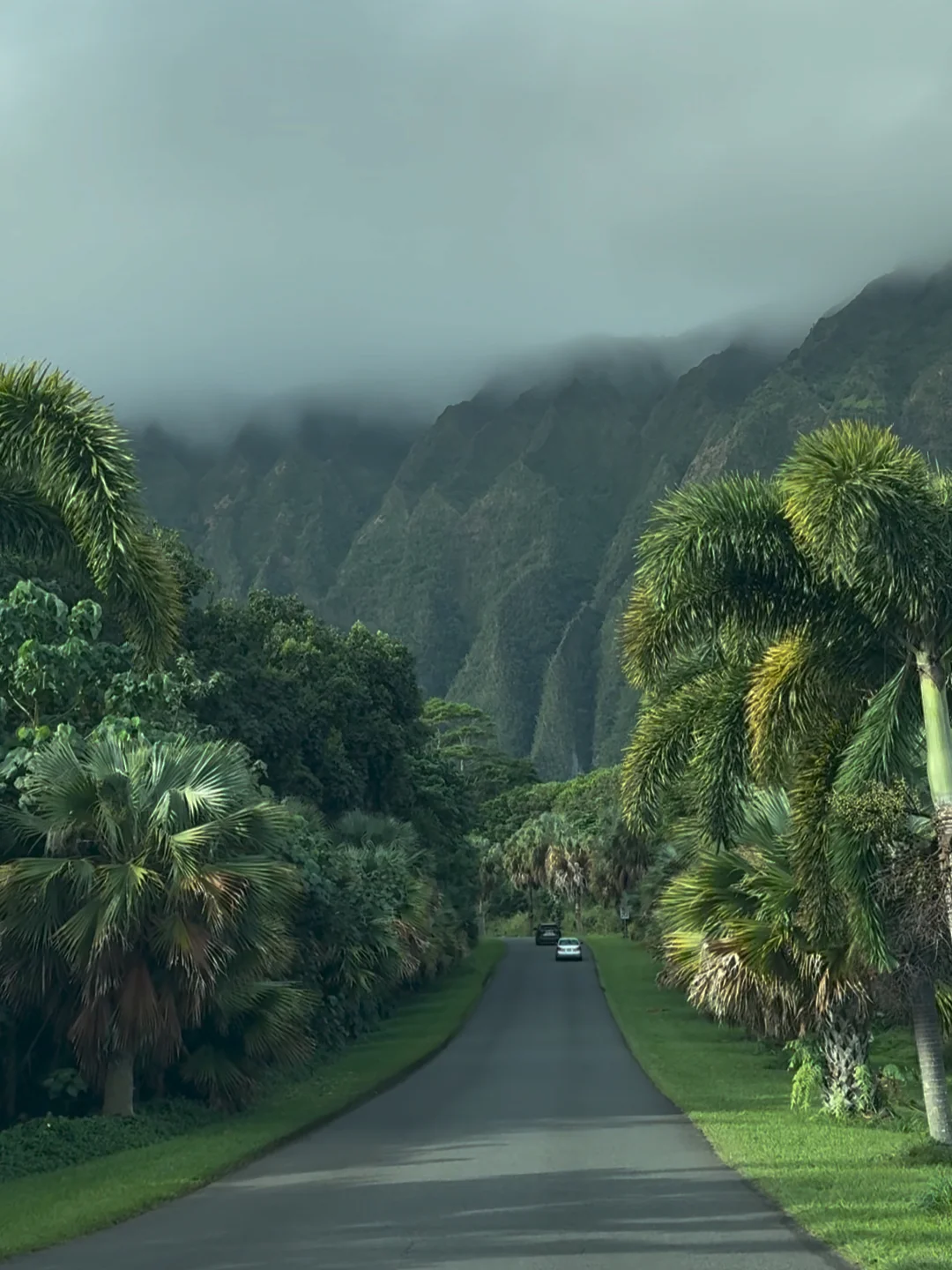 Hawaii Botanical Garden