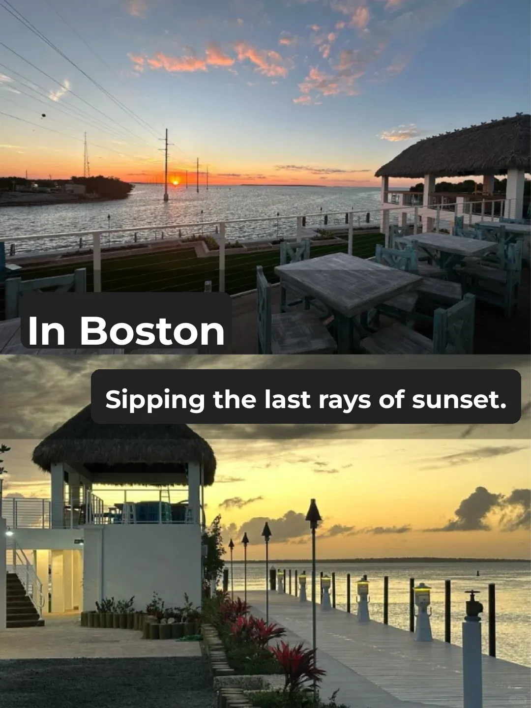 Boston Eats｜Drinking White Waves, Befriending the Sun and Moon, Unaware of the Dawn