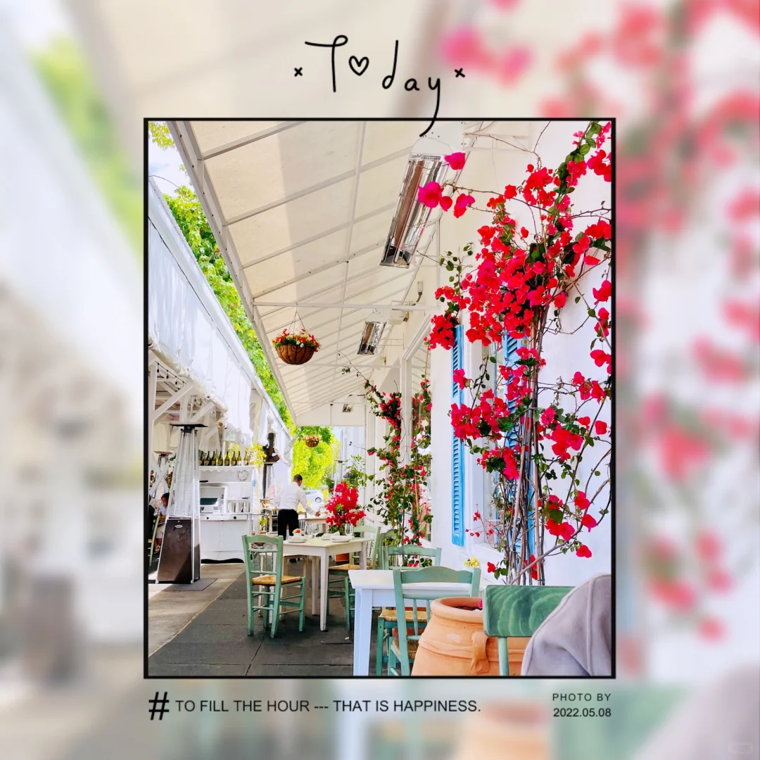 Bay Area Hidden Gem Greek Restaurant 🌟