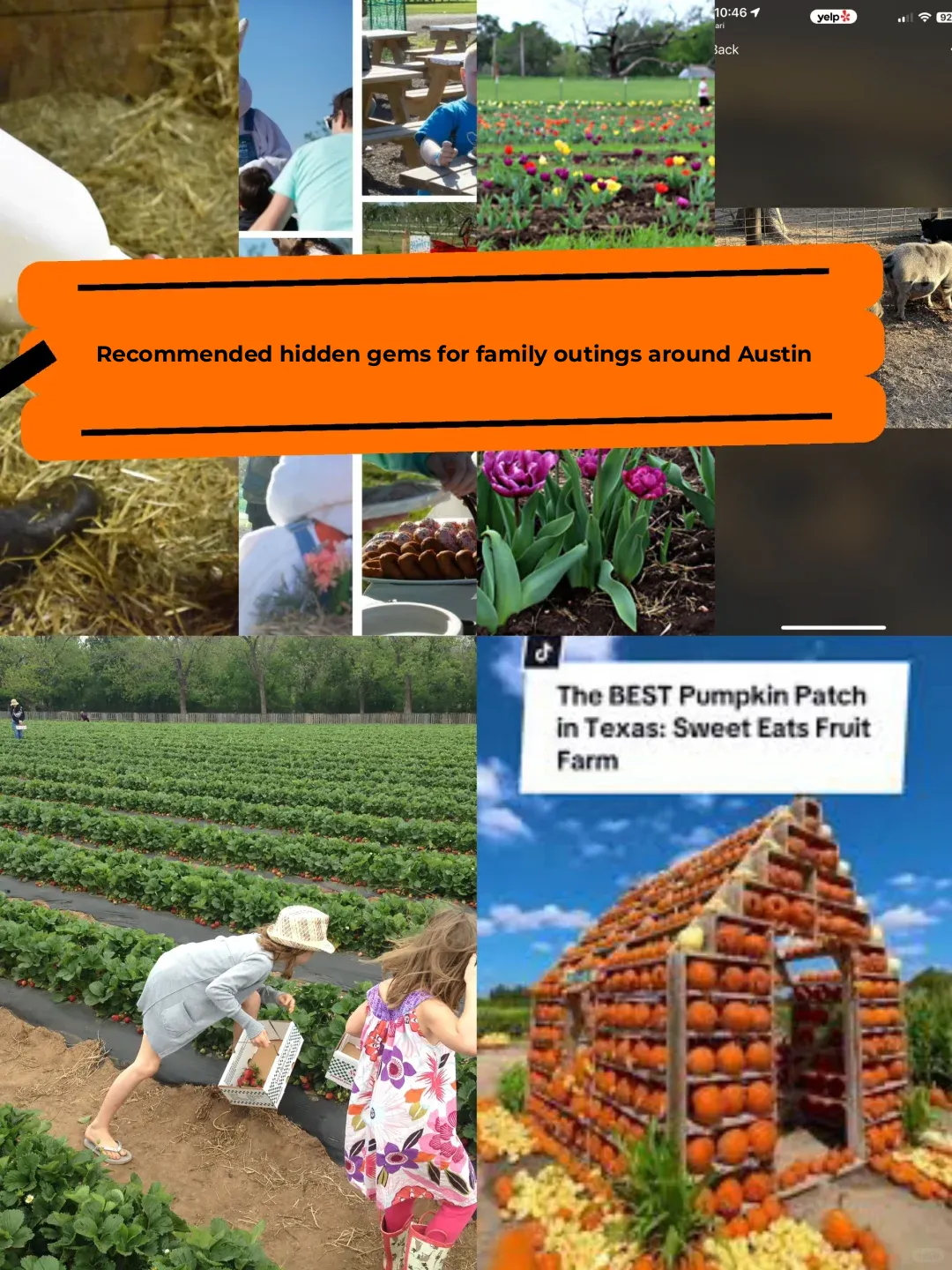 💕 Top 5 Hidden Gems for Family Outings Around Austin in Spring 🌸