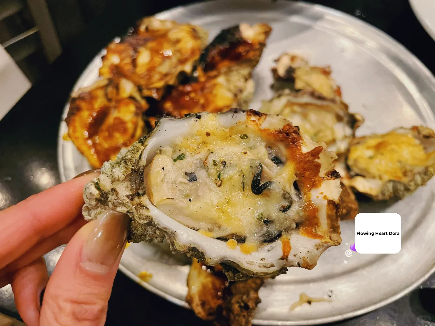 Tasting All of Denver 24 // How Good Are the Oysters at That Viral Oyster Spot?