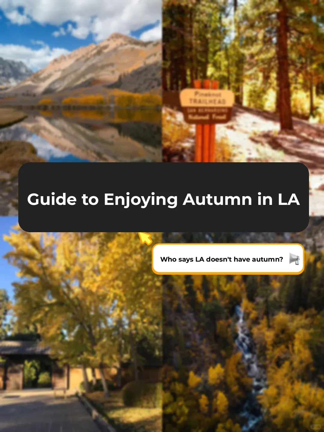 LA Fall Vibes | Wait, What?! Los Angeles Has Autumn Too?! 📸️🍁