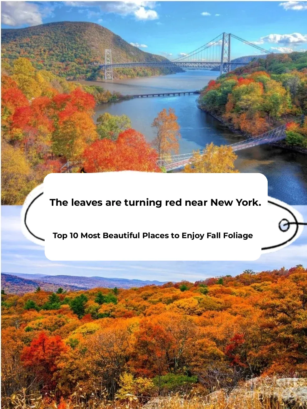 The title translates to: