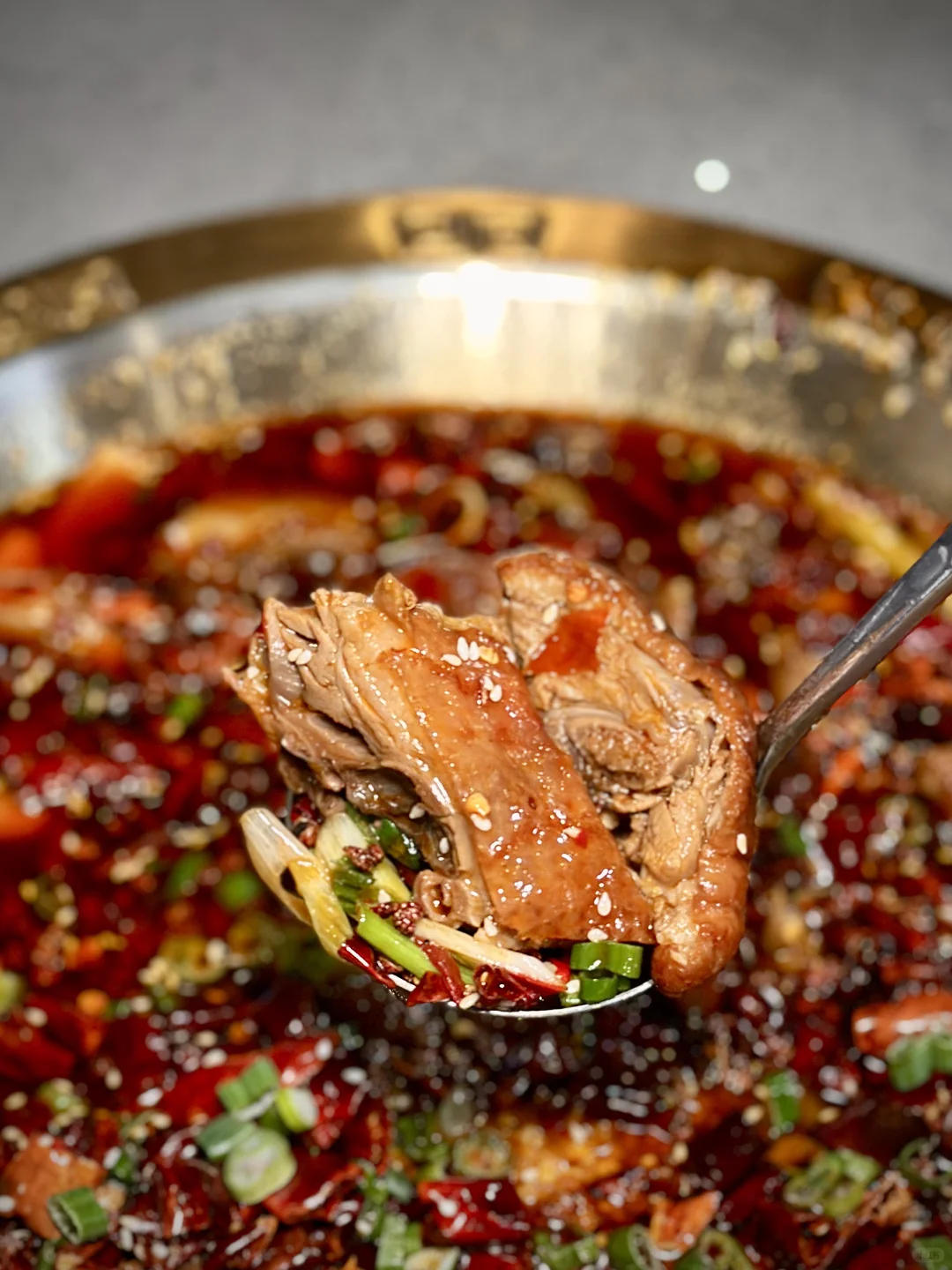 Authentic Sichuan-Style Spicy Boiled Duck in Flushing, New York!
